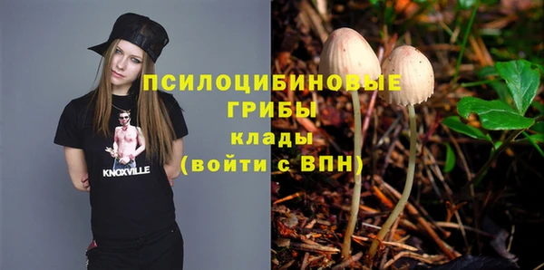 а пвп мука Баксан